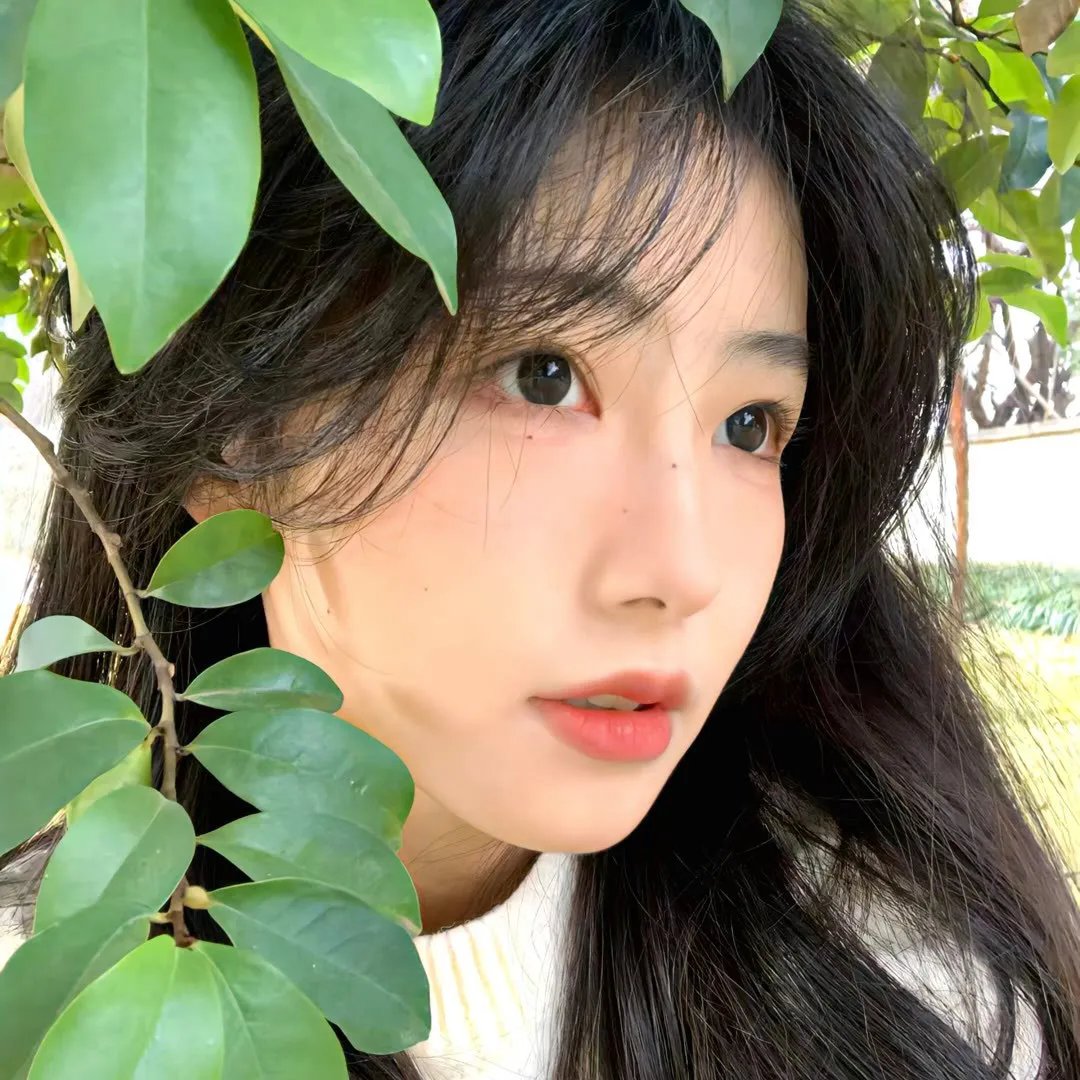 索密娅的抉择